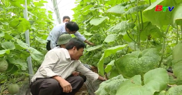 Hình thành nhiều mô hình sản xuất ở xã nông thôn mới