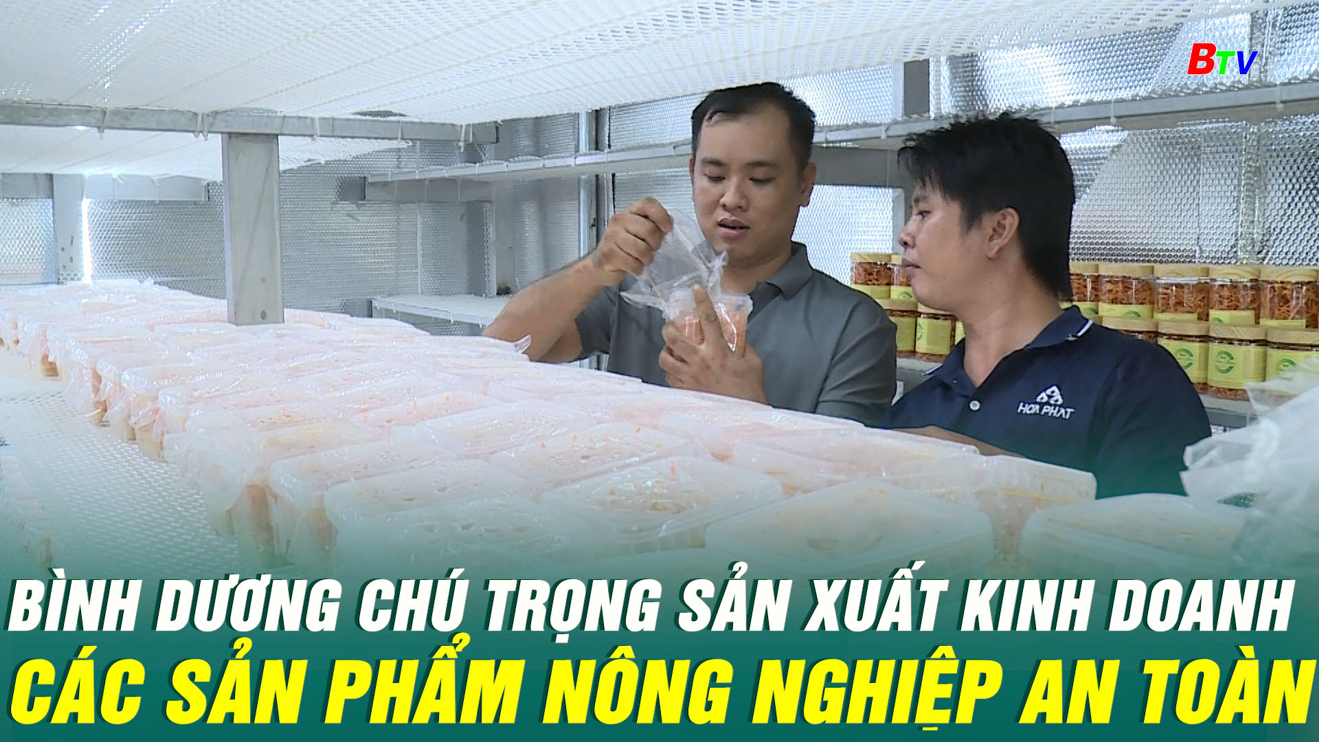 Bình Dương chú trọng sản xuất kinh doanh các sản phẩm nông nghiệp an toàn 