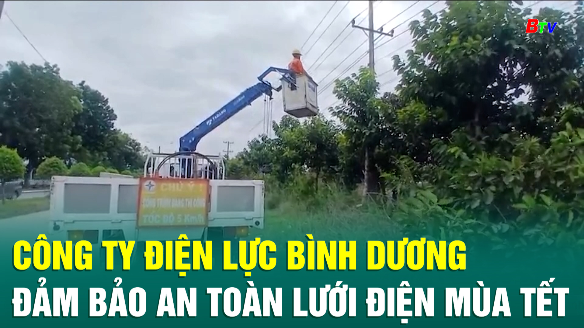 Công ty Điện lực Bình Dương đảm bảo an toàn lưới điện mùa Tết