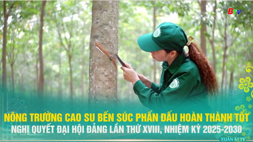 Nông trường cao su Bến Súc phấn đấu hoàn thành tốt nghị quyết Đại hội Đảng lần thứ XVIII, nhiệm kỳ 2025-2030