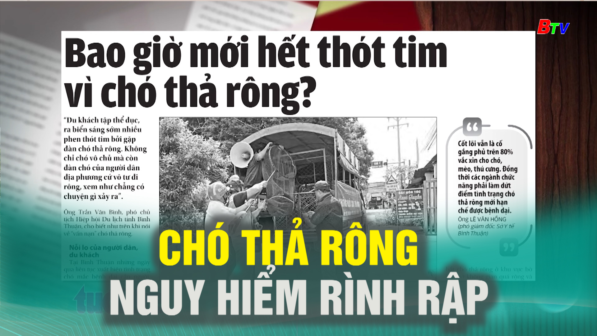 Chó thả rông – Nguy hiểm rình rập