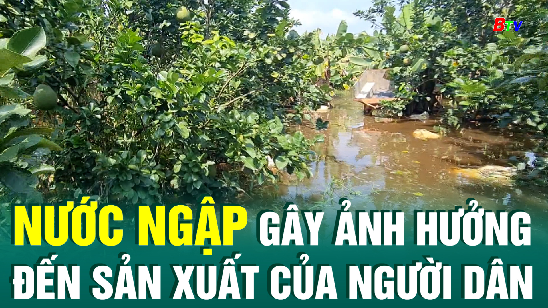 Nước ngập gây ảnh hưởng đến sản xuất của người dân