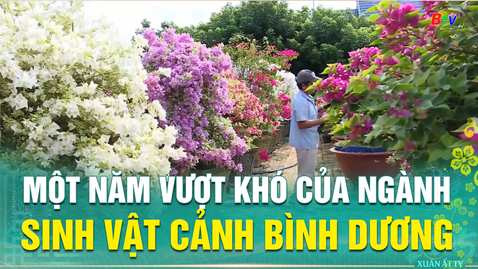 Một năm vượt khó của ngành Sinh vật cảnh Bình Dương