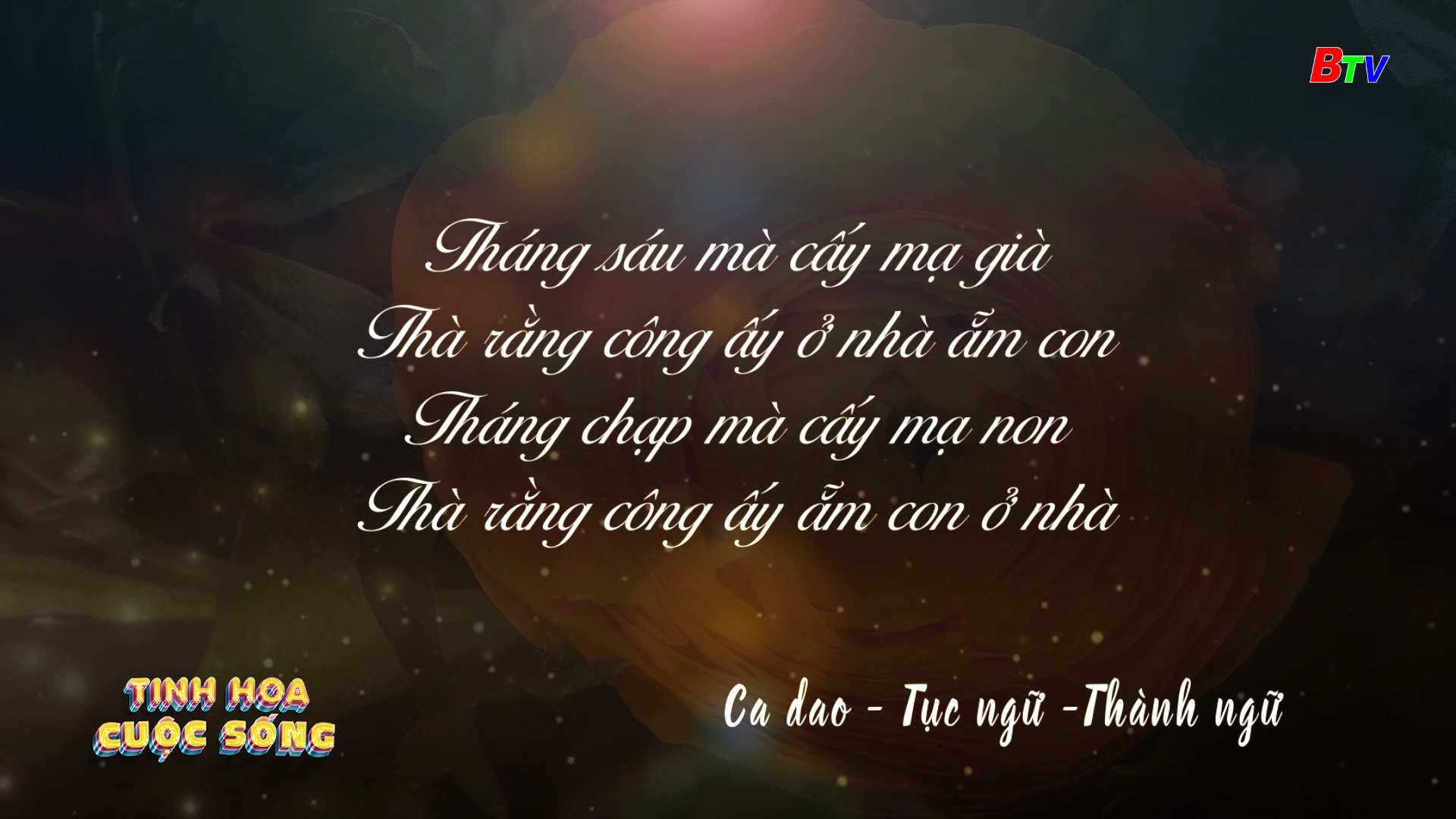 Tinh hoa cuộc sống - số 312