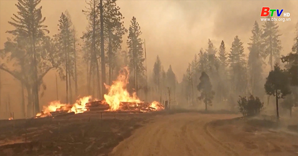 Cháy rừng nghiêm trọng tại Mỹ