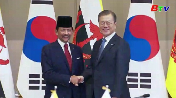 Hội nghị cấp cao ASEAN - Hàn Quốc - Kêu gọi tăng cường hợp tác văn hóa