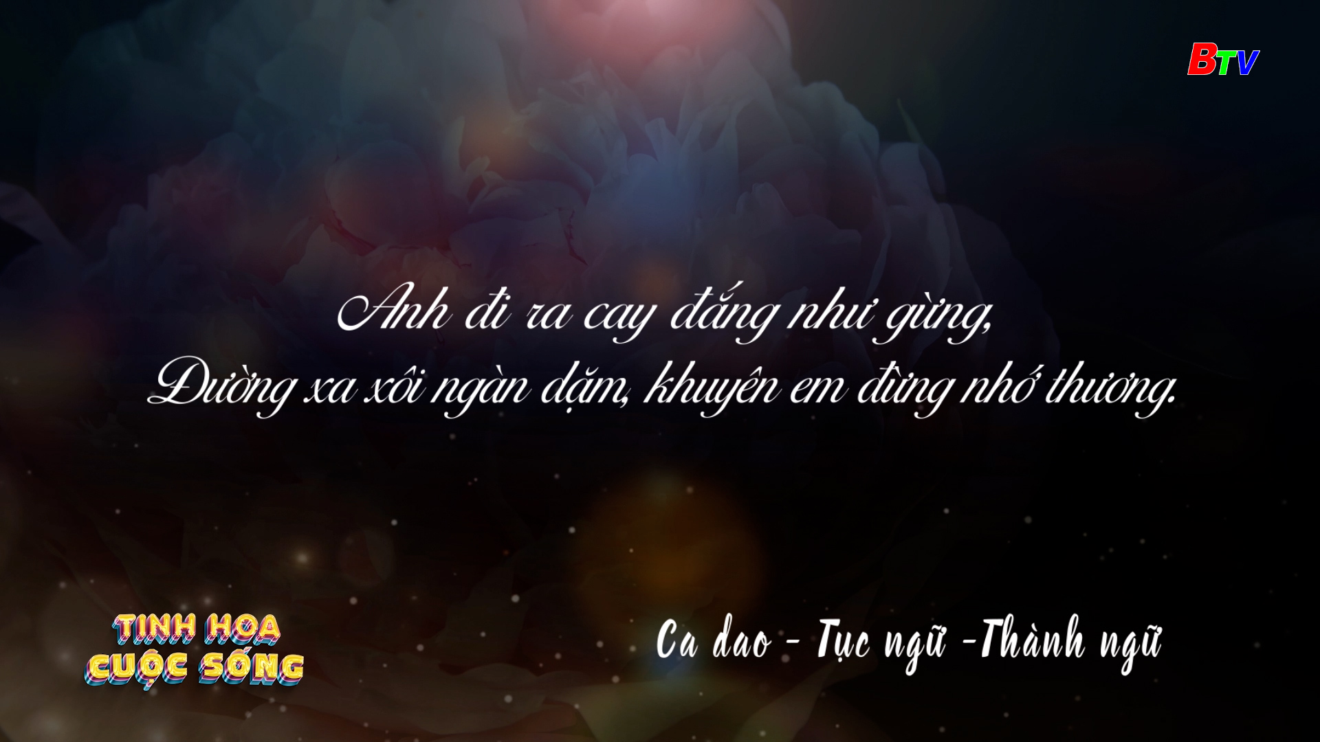 Tinh hoa cuộc sống - số 490