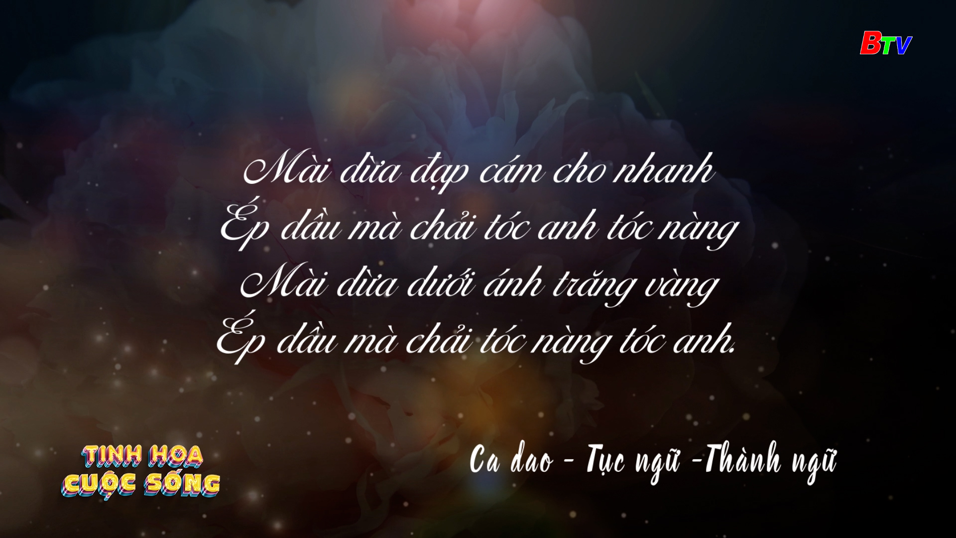 Tinh hoa cuộc sống - số 492