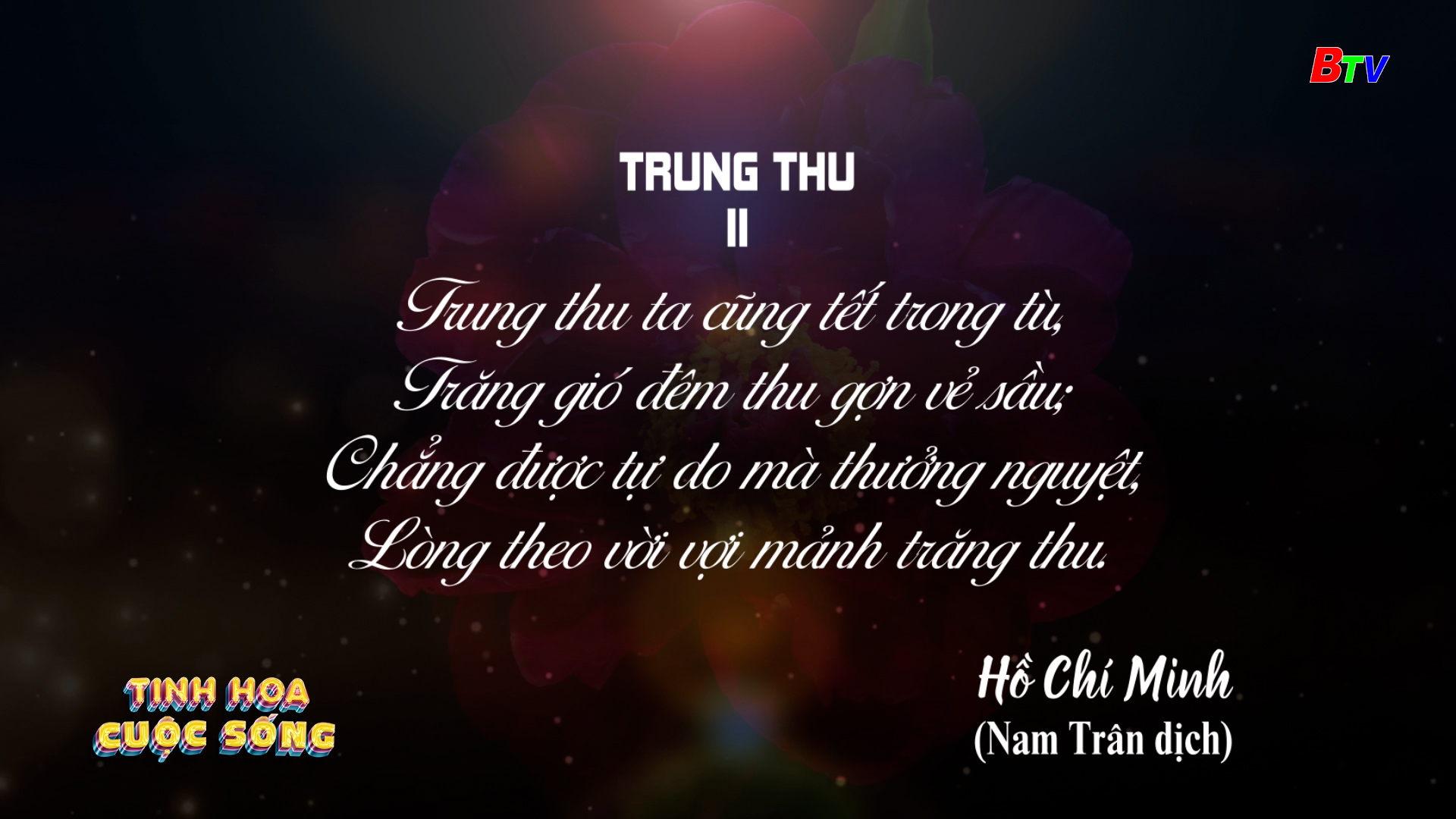 Tinh hoa cuộc sống - số 494