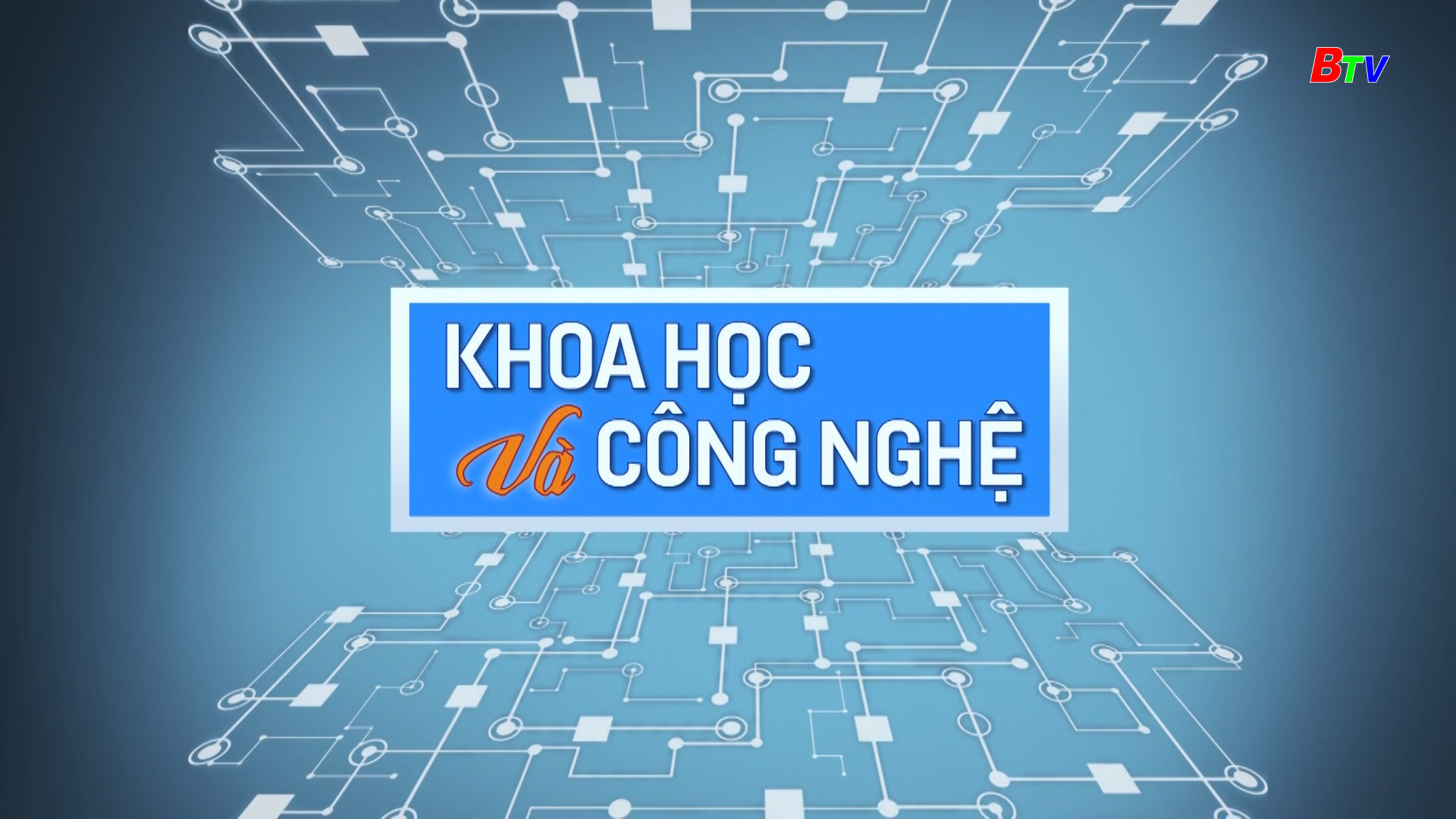 Quản lý và tổ chức thực hiện hoạt động dịch vụ kỹ thuật về tiêu chuẩn đo lường chất lượng sản phẩm hàng hóa