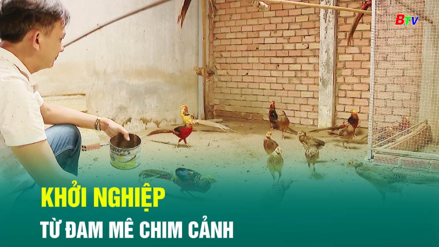 Khởi nghiệp từ đam mê chim cảnh