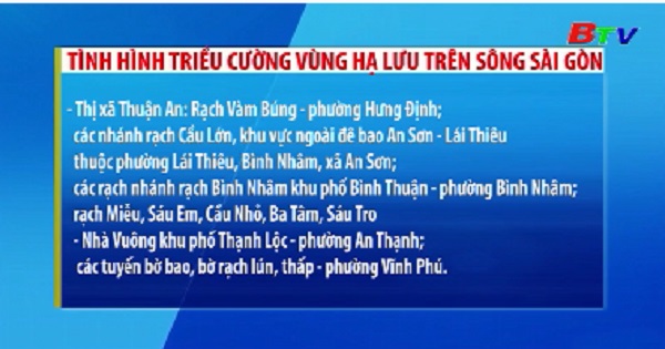 Tình hình triều cường vùng hạ lưu trên sông Sài Gòn