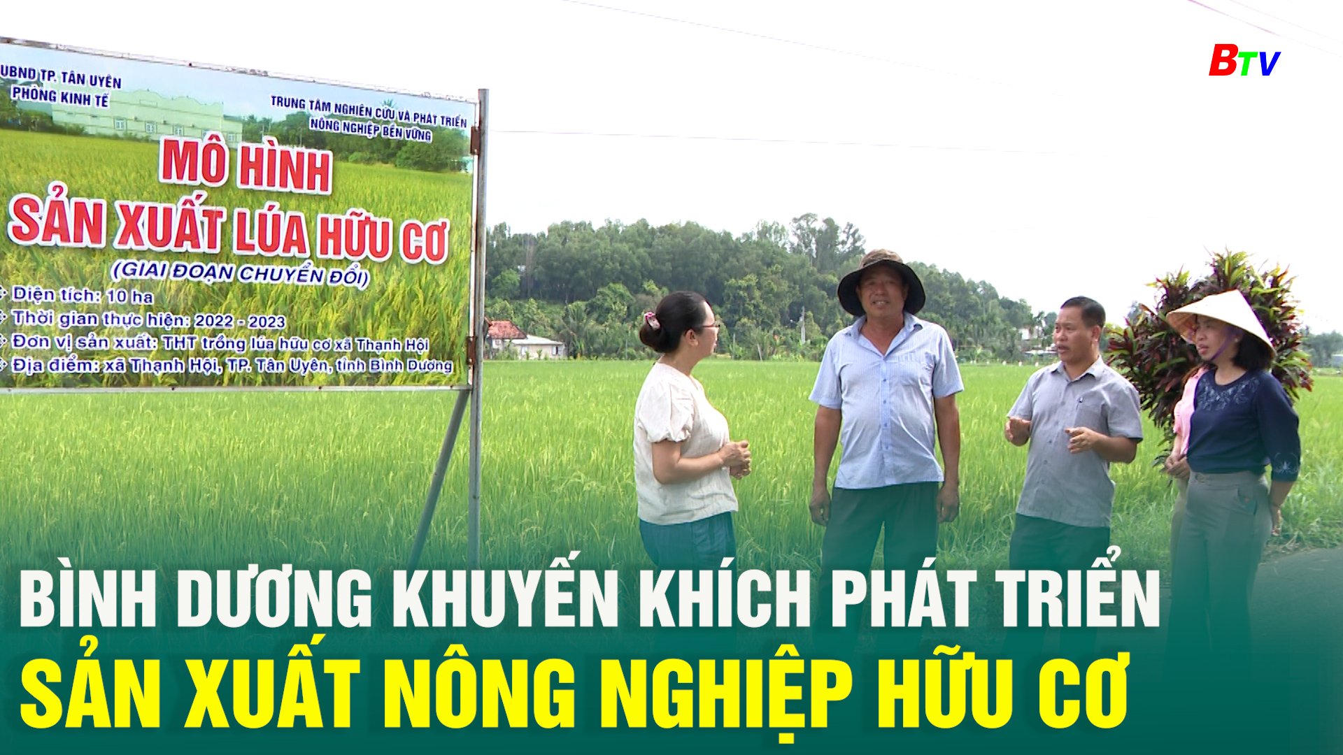 Bình Dương khuyến khích phát triển sản xuất nông nghiệp hữu cơ