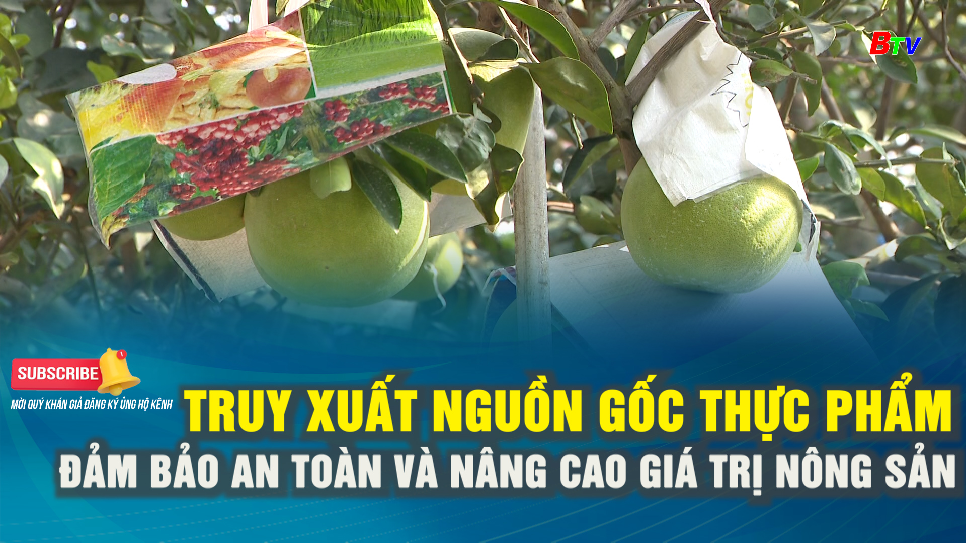 Truy xuất nguồn gốc thực phẩm  đảm bảo an toàn và nâng cao giá trị nông sản