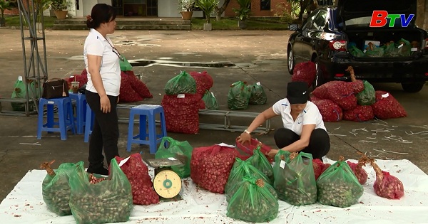 Nông dân Bình Dương giải cứu hơn 13 tấn hành của Sóc Trăng