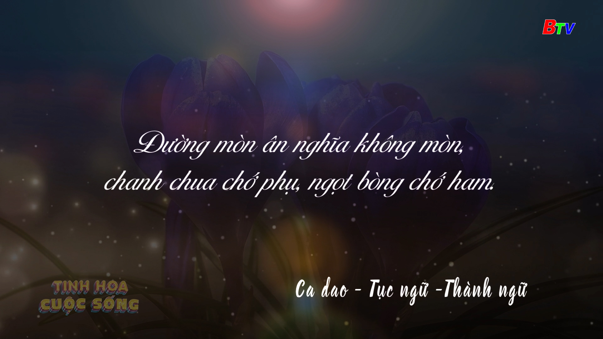 Tinh hoa cuộc sống - số 315