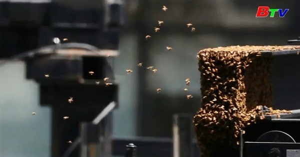 30.000 con ong vây bủa Quảng trường One Times ở New York