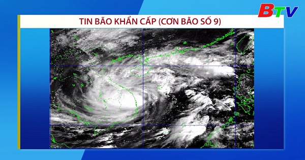 Tin bão khẩn cấp (Cơn bão số 9)