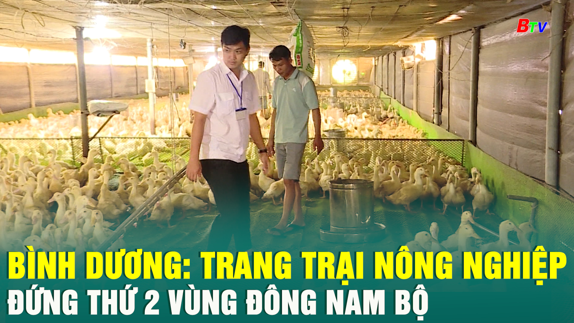 Bình Dương: Trang trại nông nghiệp đứng thứ 2 vùng Đông Nam Bộ