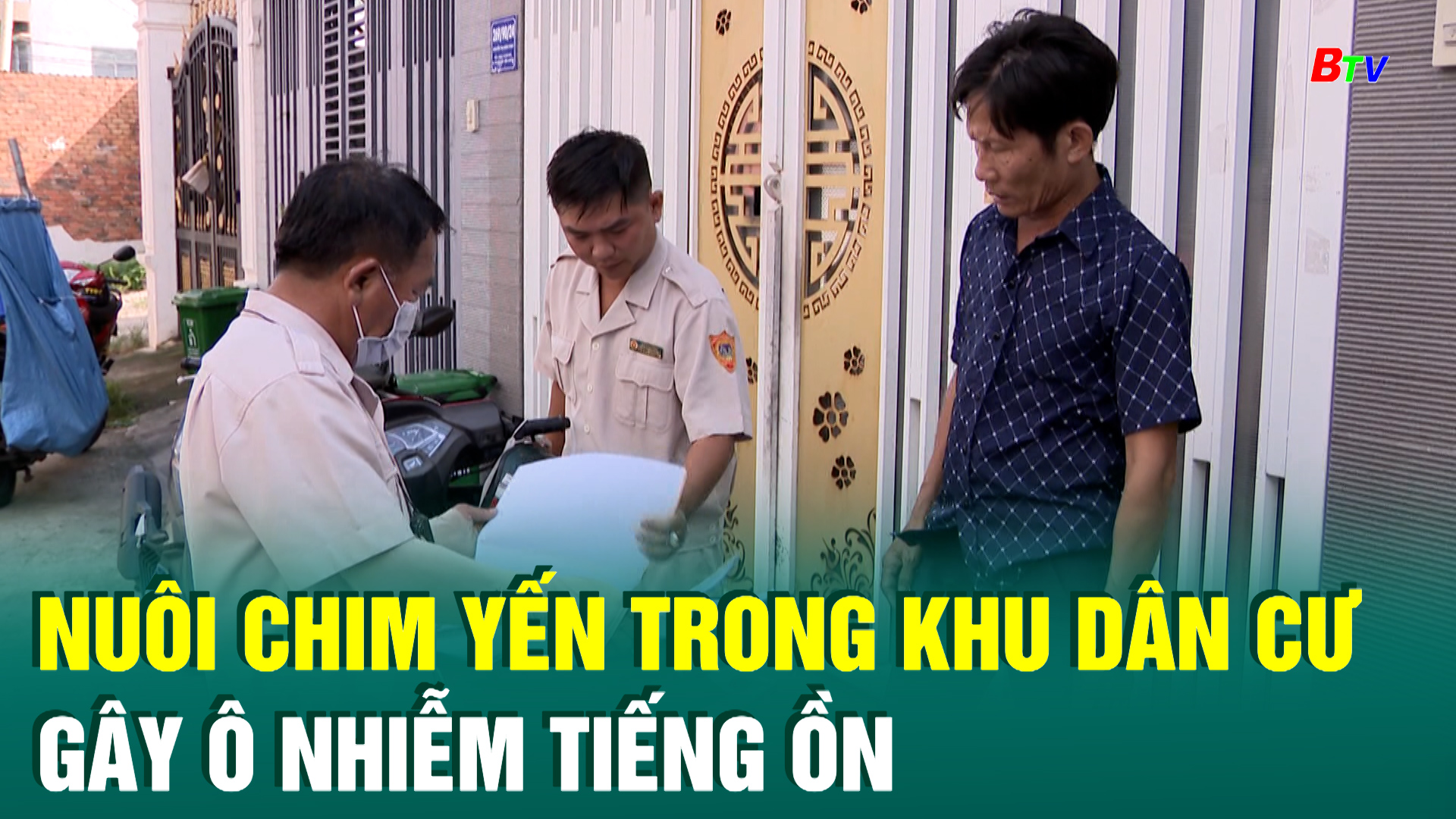 Nuôi chim yến trong khu dân cư gây ô nhiễm tiếng ồn