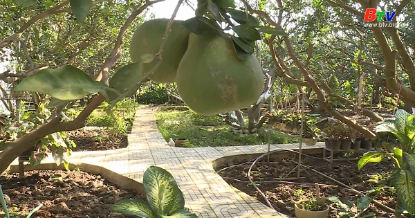 Bình Dương triển khai dự án phát triển vườn cây ăn trái đặc sản gắn với du lịch sinh thái