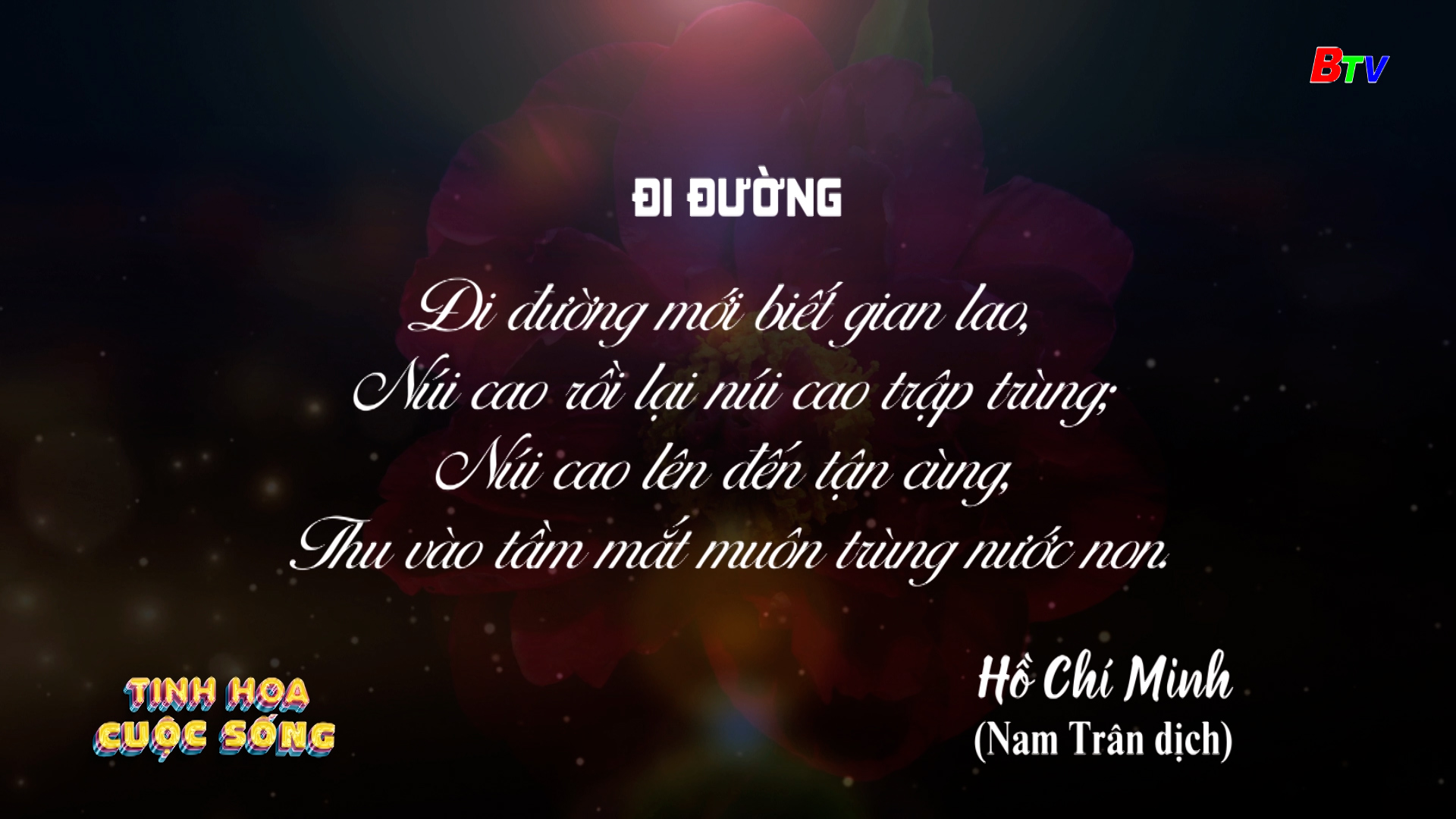 Tinh hoa cuộc sống - số 524