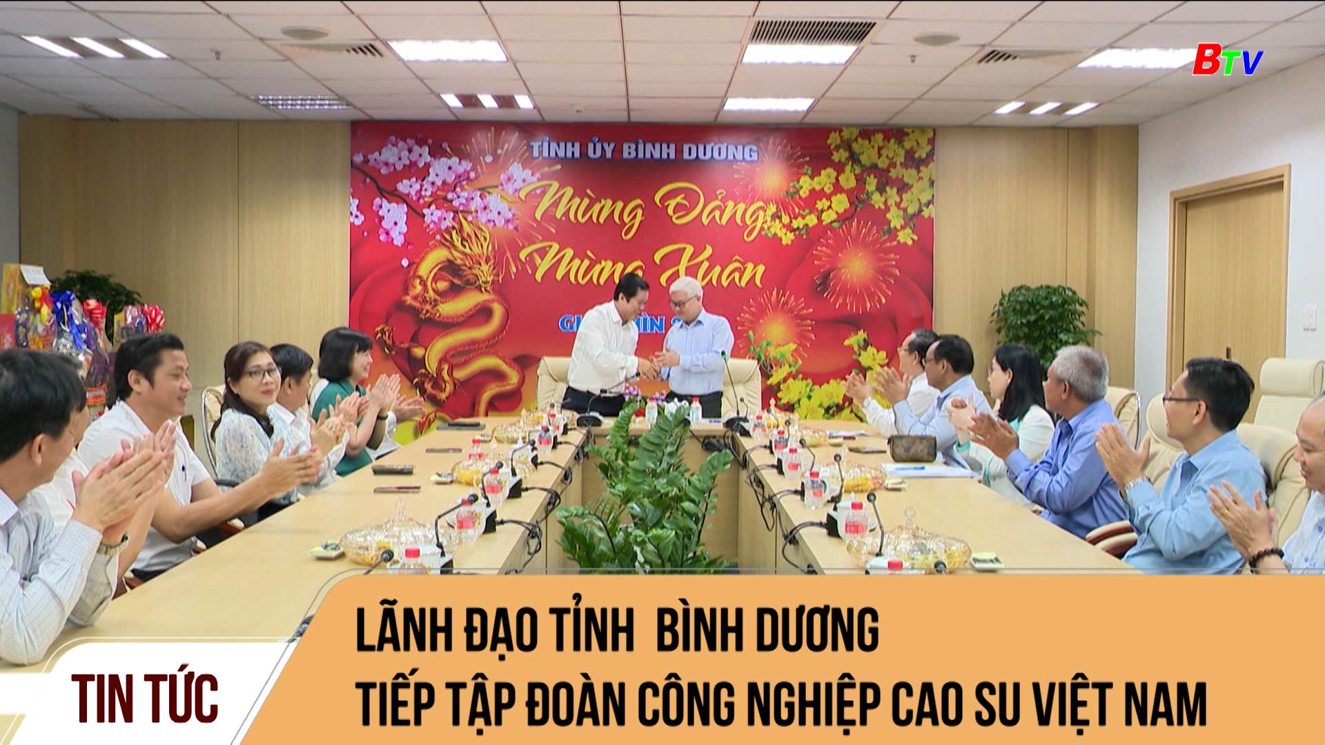 Lãnh đạo tỉnh Bình Dương tiếp Tập đoàn công nghiệp Cao su Việt Nam