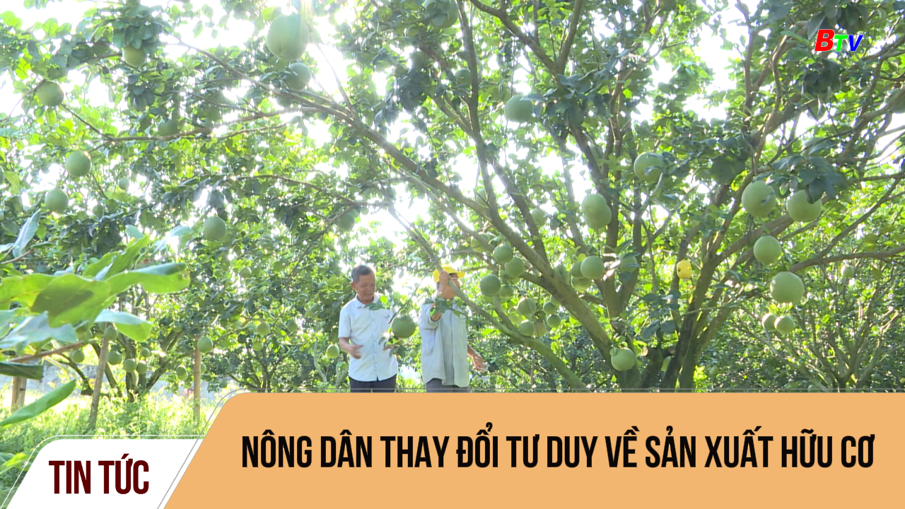 Nông dân thay đổi tư duy về sản xuất hữu cơ