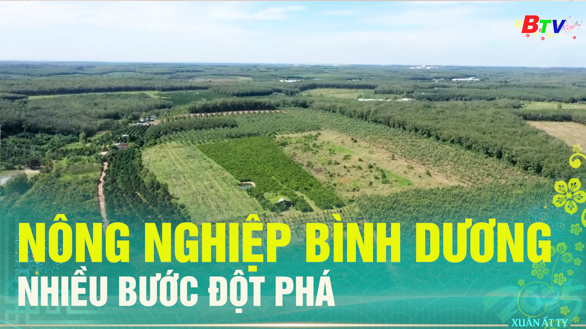 Nông nghiệp Bình Dương nhiều bước đột phá