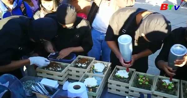 Nhóm đầu bếp Bolivia chiêu đãi thức ăn ở Quảng trường  Elalto