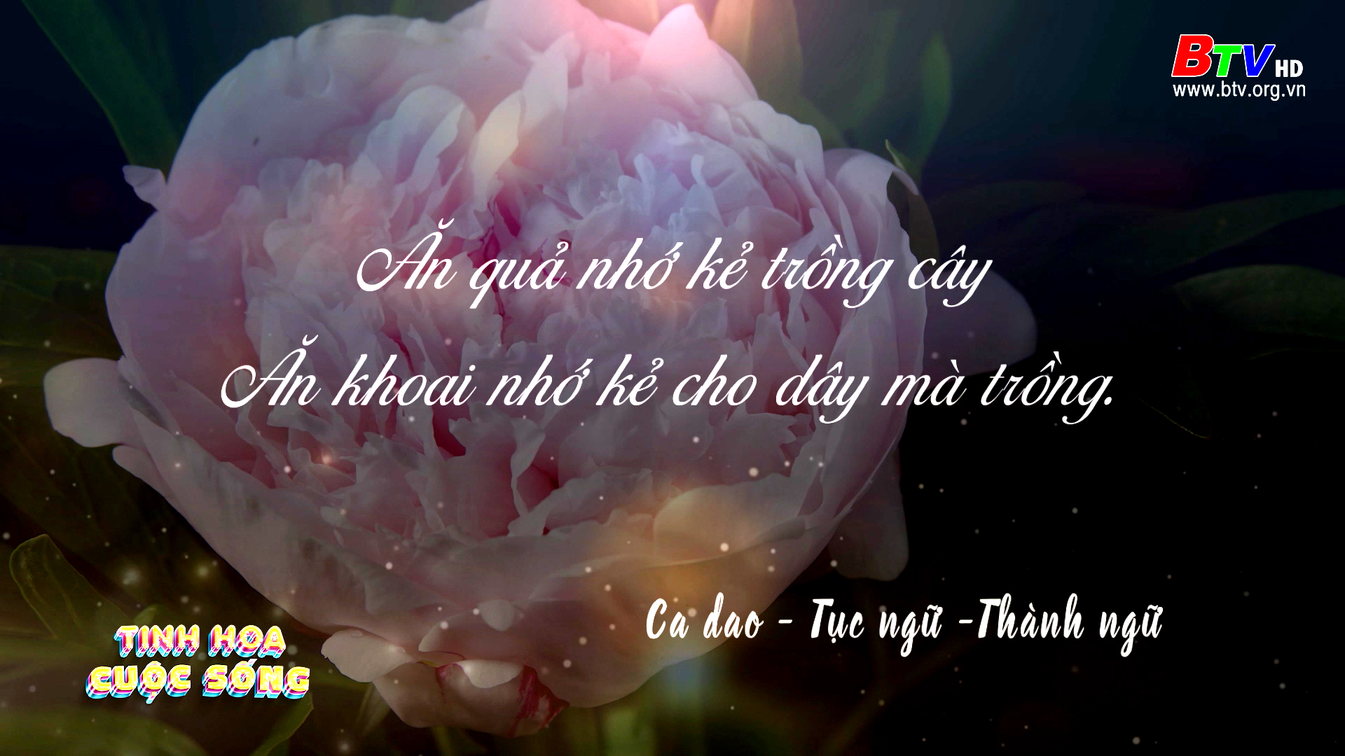 Tinh hoa cuộc sống - số 17