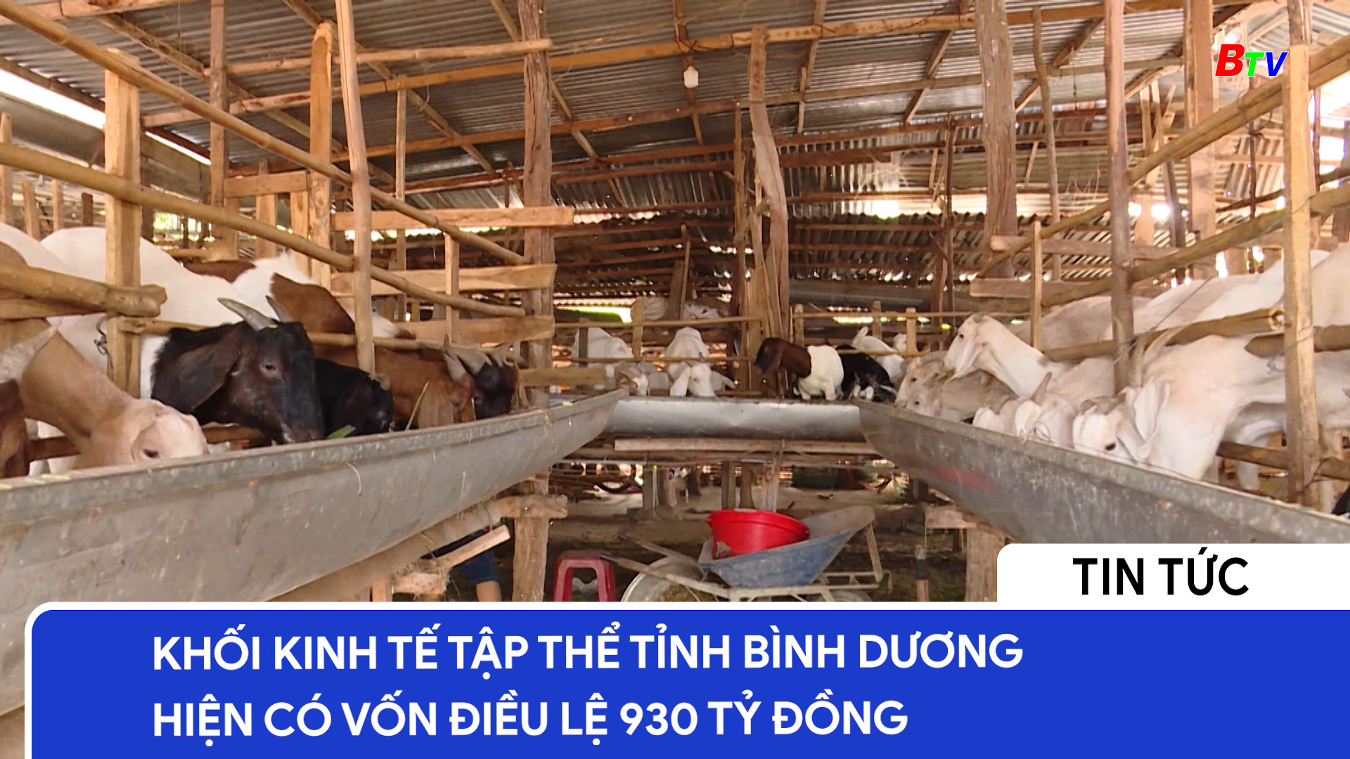 Khối kinh tế tập thể tỉnh Bình Dương hiện có vốn điều lệ 930 tỷ đồng