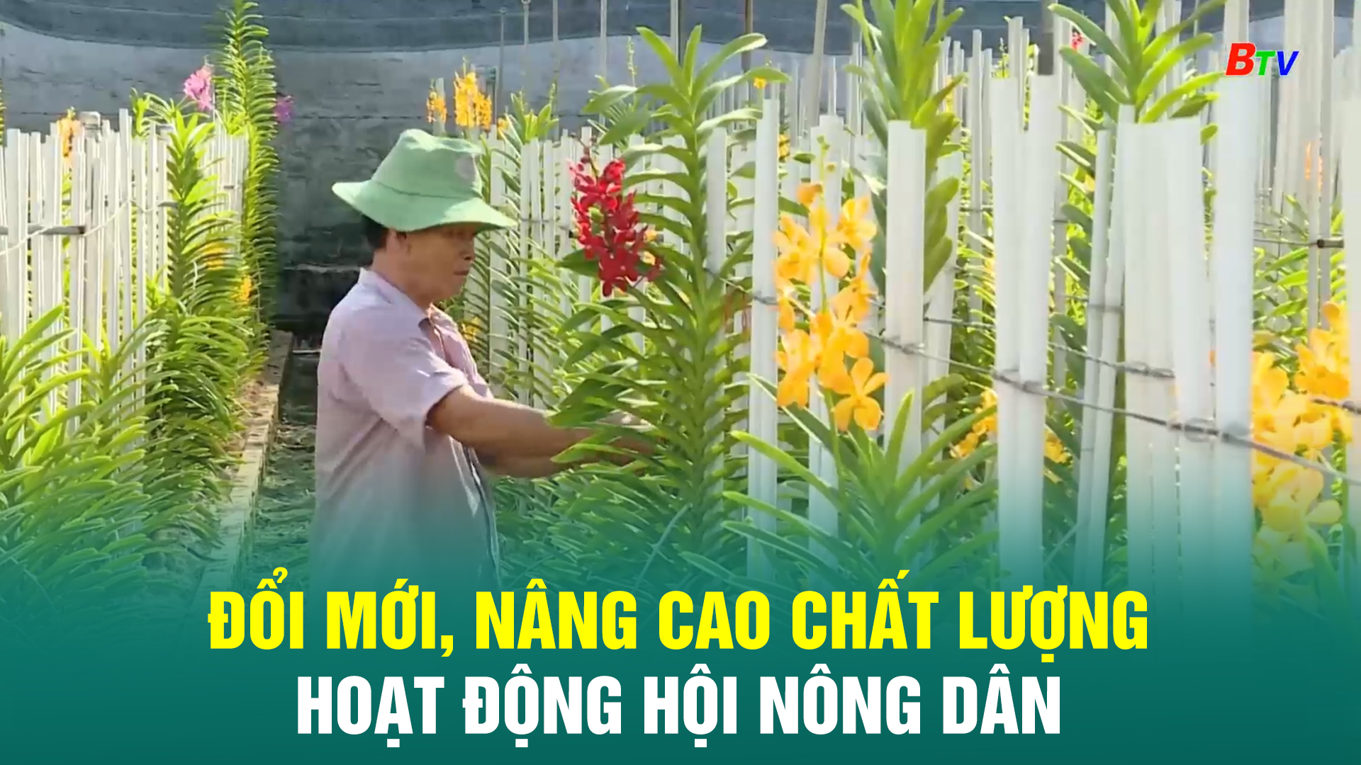 Đổi mới, nâng cao chất lượng hoạt động Hội Nông dân