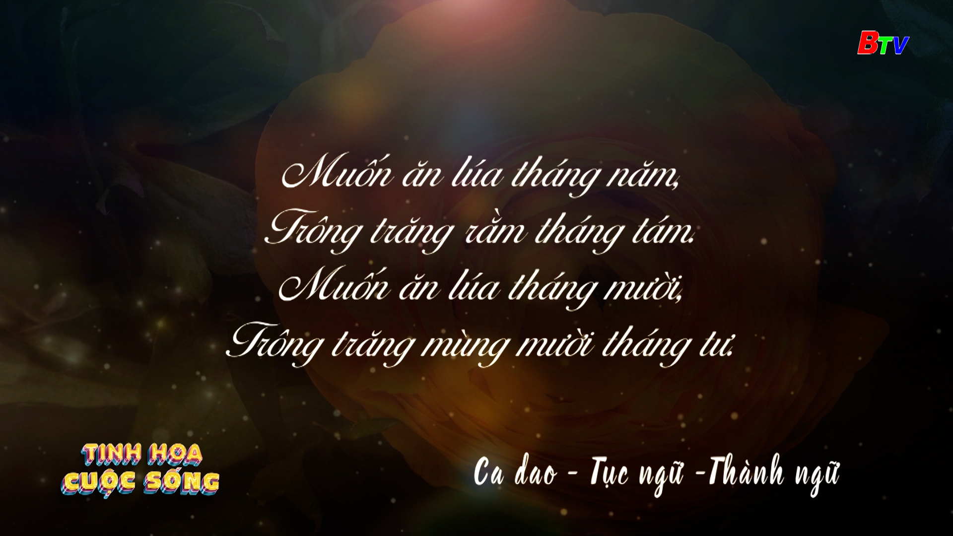 Tinh hoa cuộc sống - số 318