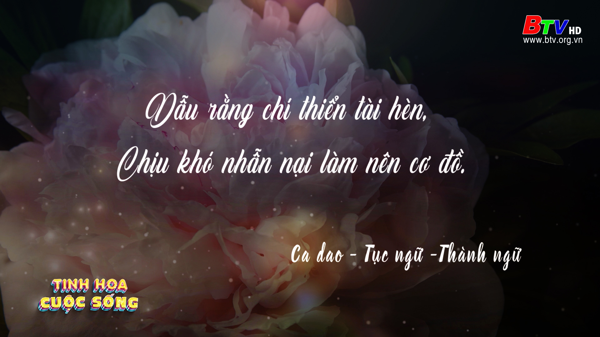 Tinh hoa cuộc sống - số 18