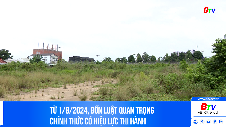 Từ 1/8/2024, bốn Luật quan trọng chính thức có hiệu lực thi hành