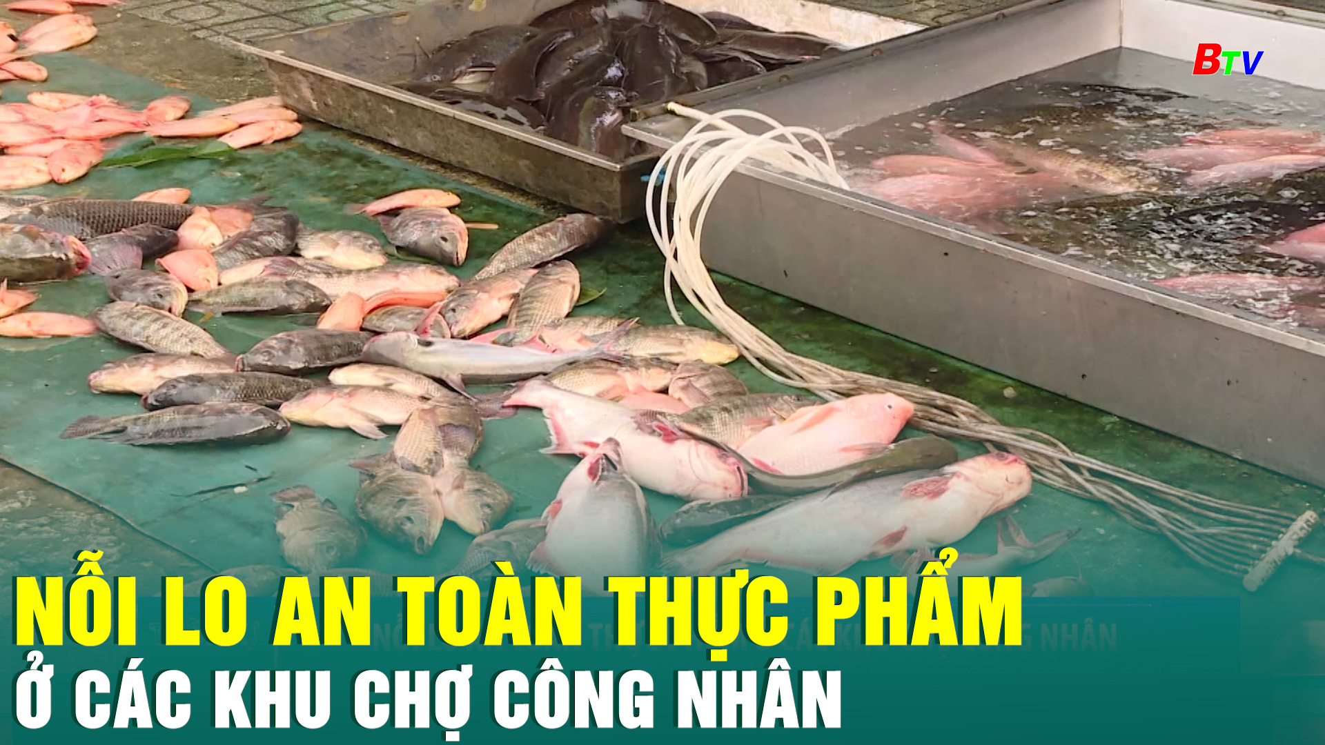 Nỗi lo an toàn thực phẩm ở các khu chợ công nhân